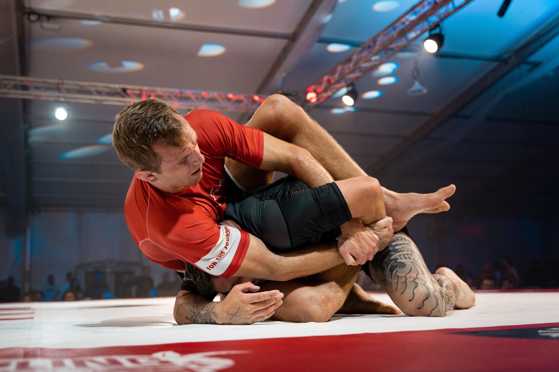 Adult Jiu Jitsu